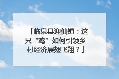 临泉县迎仙镇：这只“鸡”如何引领乡村经济展翅飞翔？