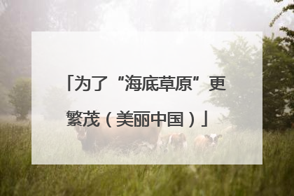 为了“海底草原”更繁茂（美丽中国）