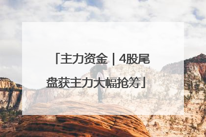 主力资金｜4股尾盘获主力大幅抢筹