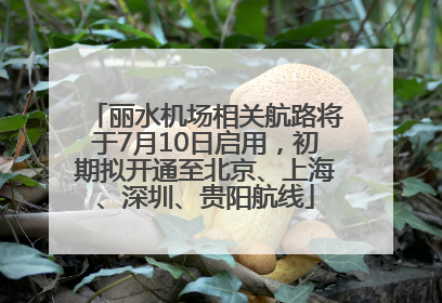 丽水机场相关航路将于7月10日启用，初期拟开通至北京、上海、深圳、贵阳航线