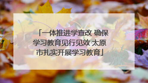 一体推进学查改 确保学习教育见行见效 太原市扎实开展学习教育