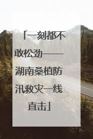 一刻都不敢松劲——湖南桑植防汛救灾一线直击