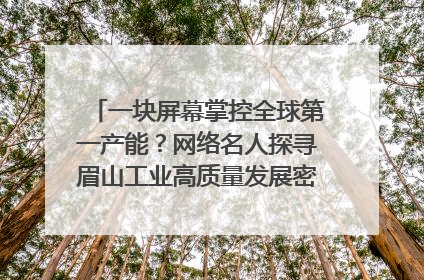 一块屏幕掌控全球第一产能？网络名人探寻眉山工业高质量发展密码｜网络名人四川行