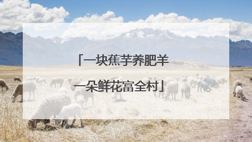 一块蕉芋养肥羊 一朵鲜花富全村