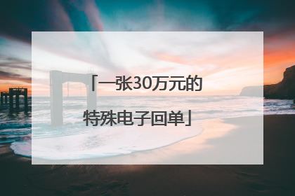 一张30万元的特殊电子回单