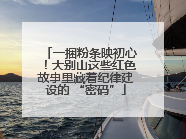 一捆粉条映初心！大别山这些红色故事里藏着纪律建设的 “密码”