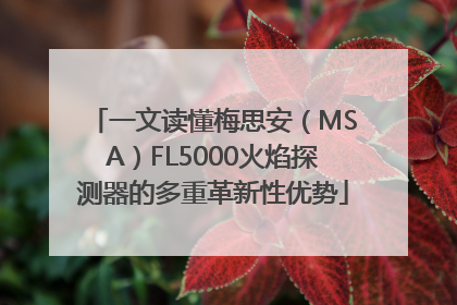 一文读懂梅思安（MSA）FL5000火焰探测器的多重革新性优势