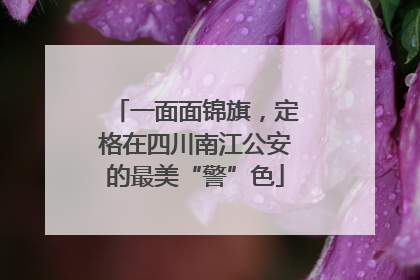 一面面锦旗，定格在四川南江公安的最美“警”色