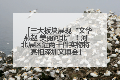 三大板块展现“文华燕赵 美丽河北”！河北展区近两千件实物将亮相深圳文博会