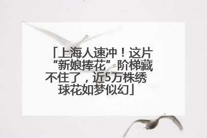 上海人速冲！这片“新娘捧花”阶梯藏不住了，近5万株绣球花如梦似幻