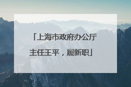 上海市政府办公厅主任王平，履新职