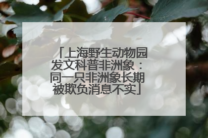 上海野生动物园发文科普非洲象：同一只非洲象长期被欺负消息不实