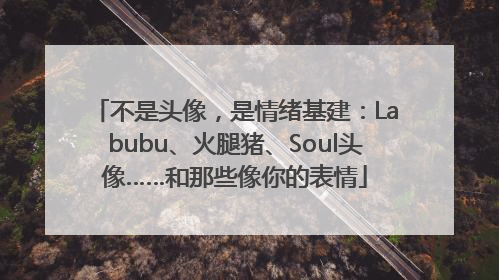 不是头像，是情绪基建：Labubu、火腿猪、Soul头像……和那些像你的表情