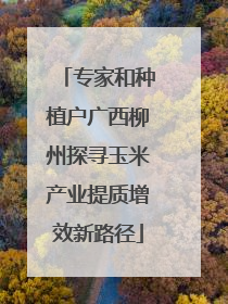 专家和种植户广西柳州探寻玉米产业提质增效新路径