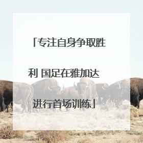 专注自身争取胜利 国足在雅加达进行首场训练