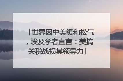 世界因中美缓和松气，埃及学者直言：美搞关税战损其领导力
