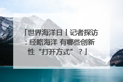 世界海洋日丨记者探访：经略海洋 有哪些创新性“打开方式”？