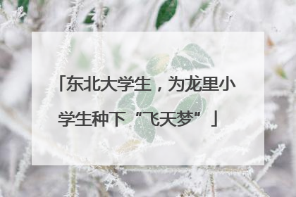 东北大学生，为龙里小学生种下“飞天梦”