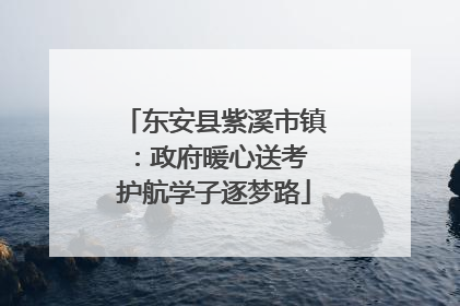 东安县紫溪市镇：政府暖心送考 护航学子逐梦路