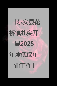 东安县花桥镇扎实开展2025年度低保年审工作