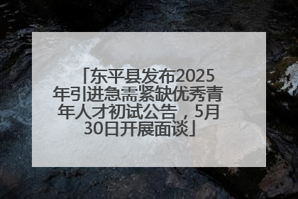 东平县发布2025年引进急需紧缺优秀青年人才初试公告，5月30日开展面谈