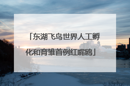 东湖飞鸟世界人工孵化和育雏首例红嘴鸥
