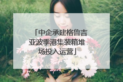 中企承建格鲁吉亚波季港集装箱堆场投入运营