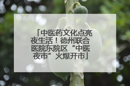 中医药文化点亮夜生活！德州联合医院东院区“中医夜市”火爆开市