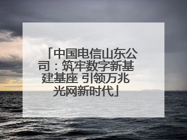中国电信山东公司：筑牢数字新基建基座 引领万兆光网新时代