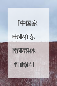 中国家电业在东南亚群体性崛起