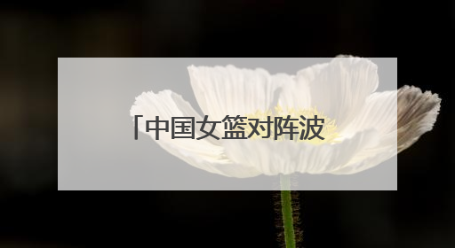 中国女篮对阵波黑女篮的比赛将在临沂精彩上演