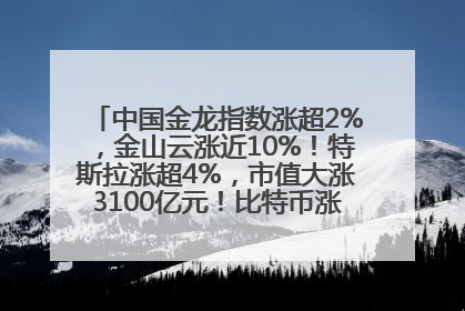 中国金龙指数涨超2%，金山云涨近10%！特斯拉涨超4%，市值大涨3100亿元！比特币涨回11万美元关口