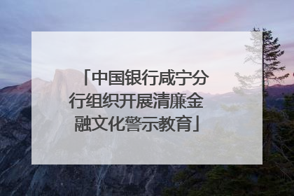 中国银行咸宁分行组织开展清廉金融文化警示教育
