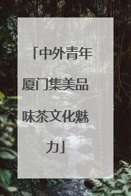 中外青年厦门集美品味茶文化魅力