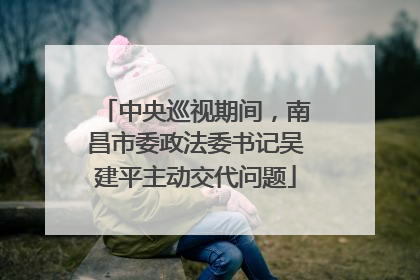 中央巡视期间，南昌市委政法委书记吴建平主动交代问题