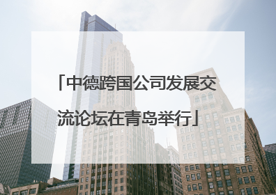 中德跨国公司发展交流论坛在青岛举行