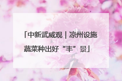 中新武威观｜凉州设施蔬菜种出好“丰”景
