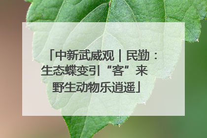 中新武威观｜民勤：生态蝶变引“客”来 野生动物乐逍遥