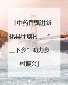 中药香飘进新化县坪塘村，“三下乡”助力乡村振兴