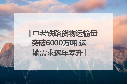 中老铁路货物运输量突破6000万吨 运输需求逐年攀升