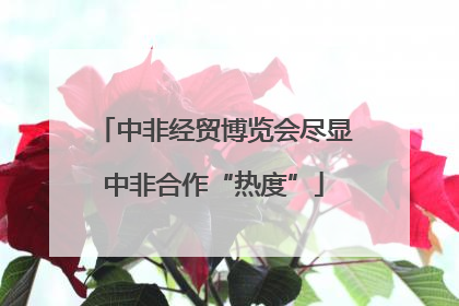 中非经贸博览会尽显中非合作“热度”