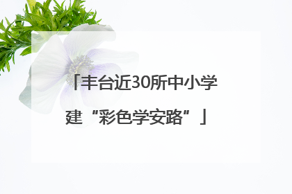 丰台近30所中小学建“彩色学安路”