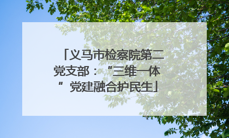 义马市检察院第二党支部：“三维一体”党建融合护民生