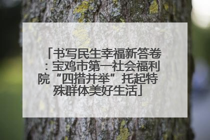 书写民生幸福新答卷：宝鸡市第一社会福利院“四措并举”托起特殊群体美好生活