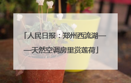 人民日报：郑州西流湖——天然空调房里赏莲荷