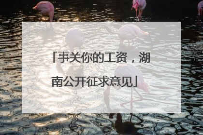 事关你的工资，湖南公开征求意见