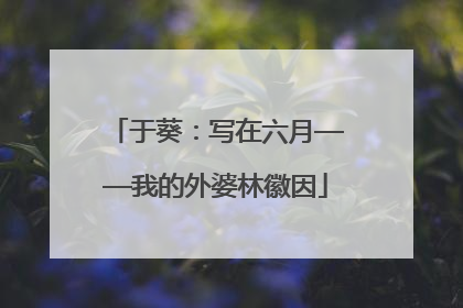 于葵：写在六月——我的外婆林徽因