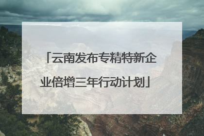 云南发布专精特新企业倍增三年行动计划