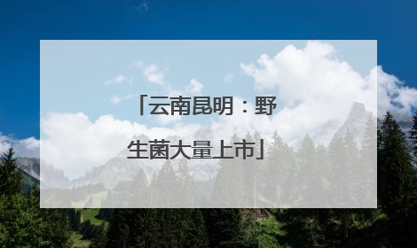 云南昆明：野生菌大量上市