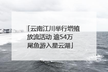 云南江川举行增殖放流活动 逾54万尾鱼游入星云湖